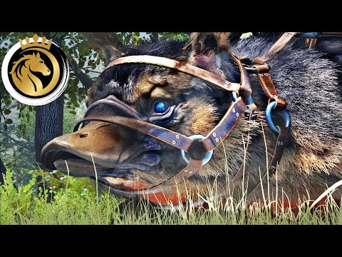 Ark türkçe Maewing Evcilleştirme | ARK Survival Evolved Genesis Part 2 (MODSUZ) I S1B6