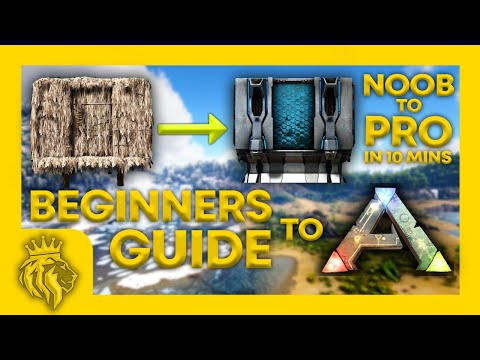 BEGINNERS GUIDE To ARK: Survival Evolved | Noob To Pro In Under 10 Mins!