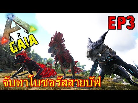 BGZ – ARK Ragnarok Gaia EP#3 จับทาโบซอรัสสายบัฟ