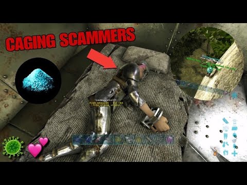 CAGING The Person Who Scammed Me!! | Ark Survival Evolved PS5 Smalltribes