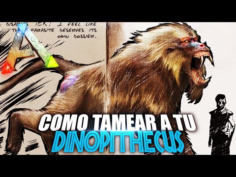 COMO TAMEAR A TU DINOPITHECUS | Guia Español | Ark: Survival Evolved