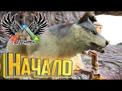 Нашёл ВОЛЧОНКА И ПРИРУЧИЛ – ARK Survival Evolved – Redemption #1