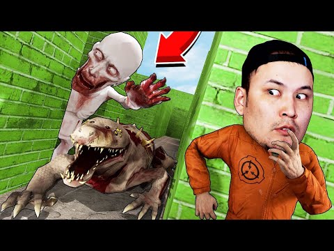 СКРОМНИК ТҰРАТЫН ЛАБИРИНТТЕ ҚАЛЫП ҚОЙДЫМ! ҚАЙДА ТЫҒЫЛСАМ БОЛАДЫ? Garry’s Mod