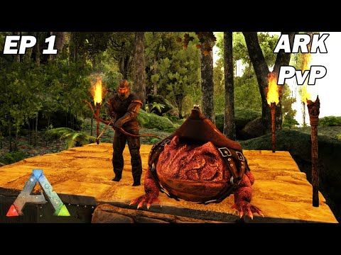 Début d'une aventure PvP en solo sur l'officiel THE ISLAND ! Ark Survival Evolved Ep1