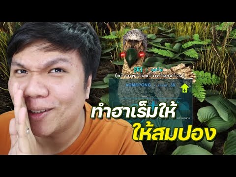 พักพ่อนบ้าง … สร้างบ้านให้ลูกๆ – ARK Survival Evolved #10