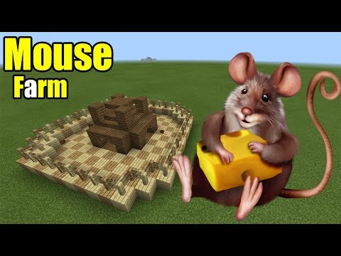 How to Make a Mouse Farm | Minecraft PE