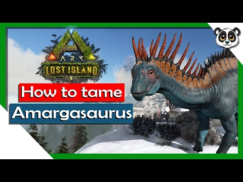 HOW TO TAME Amargasaurus! | ARK: Lost Island