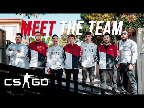 Introducing 100 Thieves New Counter-Strike: Global Offensive Team