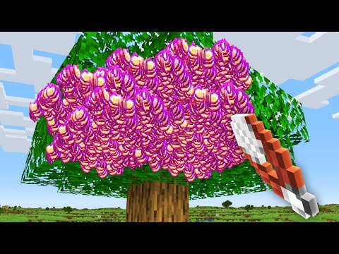 Minecraft, But I Can Fortune Any Item…