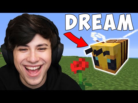 Minecraft, But My Friend Is A Bee…