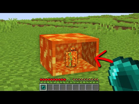 Minecraft, But You Can Go Inside Anything…