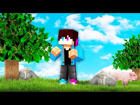 MINECRAFT Maar ALLES Is SUPER REALISTICH!