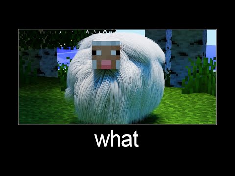 Minecraft wait what meme part 166 (realistic sheep)