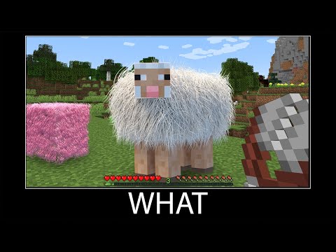 Minecraft wait what meme part 53 realistic minecraft sheep wool