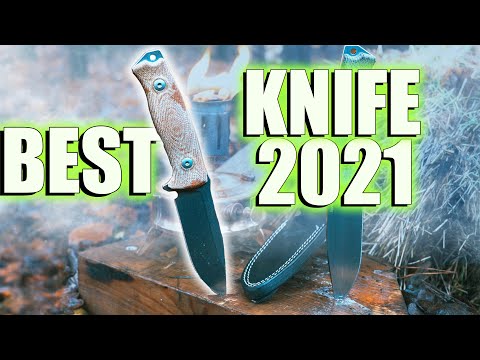 NICE! This is The best Supersteel knife of 2021 | Lionsteel M5 CPM-3V