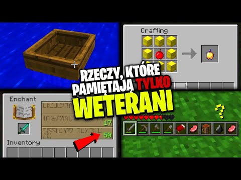 RZECZY, KTÓRE PAMIĘTAJĄ TYLKO WETERANI MINECRAFT!
