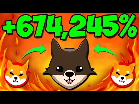 SHIBA INU ARMY: THIS NEW 100X TOKEN MIGHT MAKE YOU RICH & HERE`S IS WHY! – ELO INU