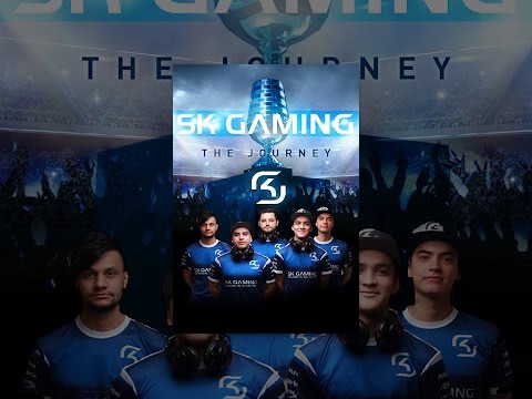Sk Gaming: The Journey