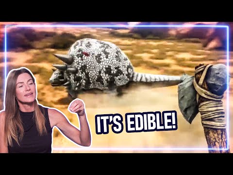 Survival Expert REACTS to ARK: Survival Evolved | Experts React
