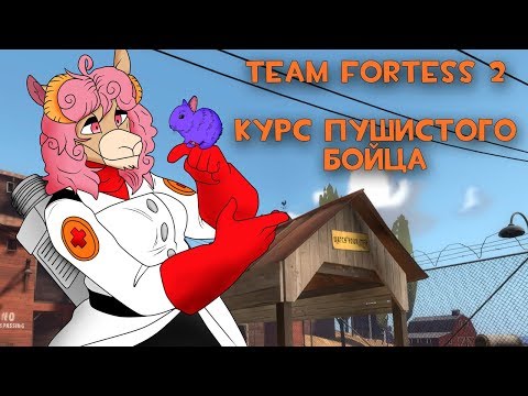 Team Fortess 2: Курс пушистого бойца