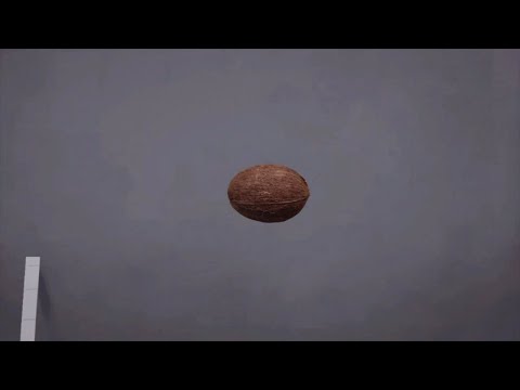 The (apparent) Destroyer of Team Fortress 2 Code – coconut.vtf