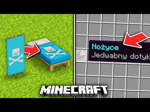12 RZECZY w MINECRAFT w które NIE UWIERZYSZ że istnieją… *zakazane*