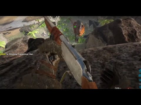 ARK: Survival Evolved island finding Rex and taming video 4 [ LIVE] @GBVYT Date 1/11/2022