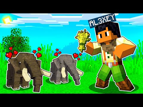 CRIEI UMA FAMILIA DE ELEFANTES NO MINECRAFT!