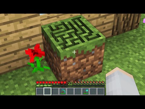 Я ПРОШЕЛ ЛАБИРИНТ В БЛОКЕ В МАЙНКРАФТ 100% Троллинг Ловушка Minecraft Топовский