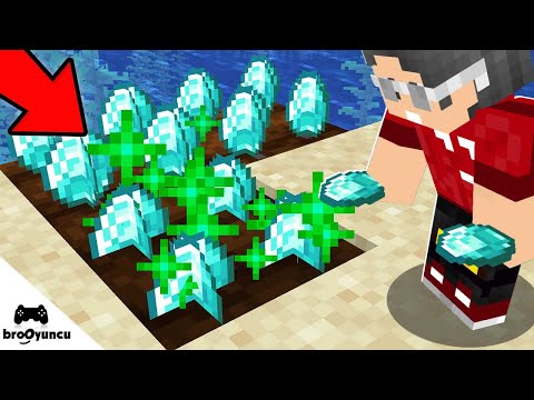 ELMAS TARLASI – MİNECRAFT