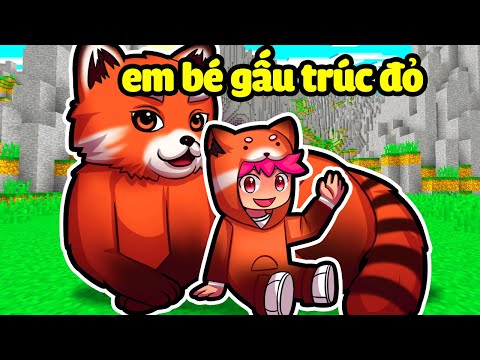 HACHI EM BÉ GẤU TRÚC ĐỎ ĐỘT BIẾN TRONG MINECRAFT*HACHI EM BÉ*