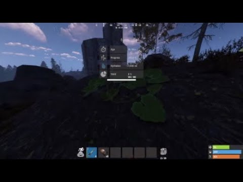 How to get ak early game rust console
