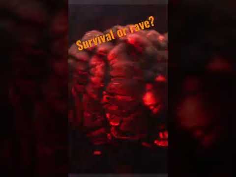 Is Rust a survival game or just a rave now? #rust #twitchstreamer #twitchclips #funnyvideo