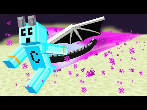 Minecraft but Sprinting is Custom