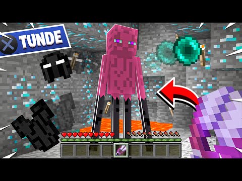 Minecraft Dar Pot Sa Tund Mobi…