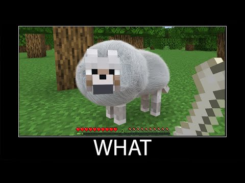 Minecraft wait what meme part 68 realistic minecraft wolf