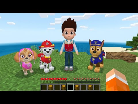 SPOTKAŁEM PSI PATROL w Minecraft KTÓRY ZROBIŁ TO…
