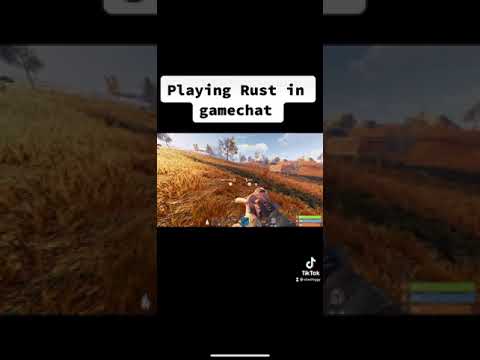 The toxicity of game chat (Rust funny moment)