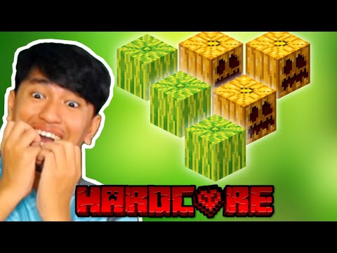 #06 កន្លែងដាំដំណាំពិសេស!!! 😍 | Minecraft Hardcore Part 06