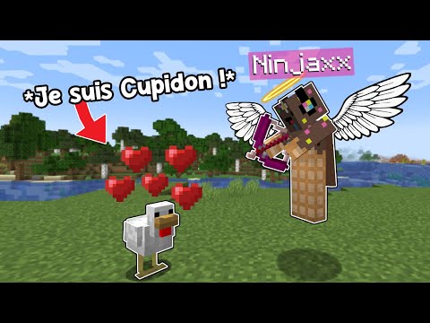 Ce Mod me permet de devenir Cupidon sur Minecraft..