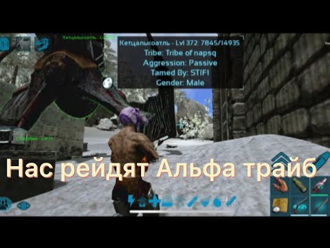 Нас рейдят Альфа трайб ПВП | ARK survival evolved mobile