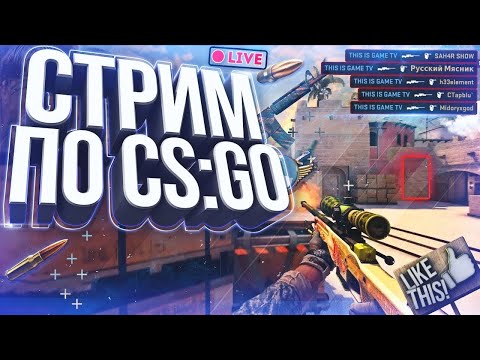 От Сильвера До Глобала За Год В Игре Counter-Strike: Global Offensive