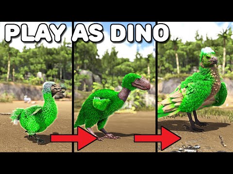 DODO, TERROR BRID, ARGENTAVIS PROGRESSION LINE | PLAY AS DINO | ARK SURVIVAL EVOLVED