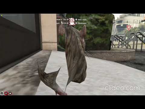 Grand Theft Auto V – Best moments – Melhores momentos