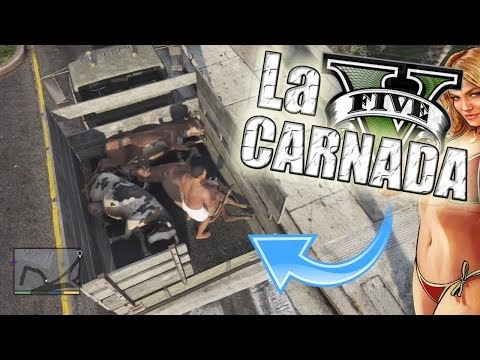 GTA V – Alimentemos al TIBURÓN (Grand Theft Auto 5)