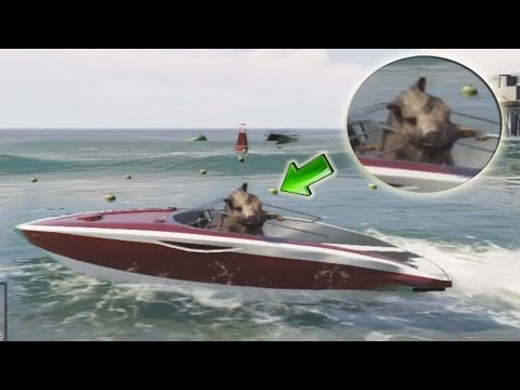 GTA V – UN JABALÍ A BORDO (Grand Theft Auto 5)