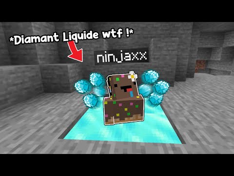 J'ai utilisé des Items interdit par Minecraft.. (et wtf)