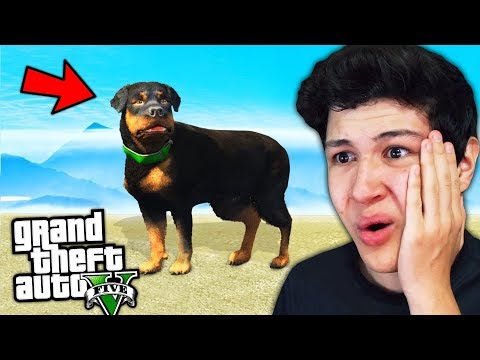 JUGANDO con CHOP en GTA 5! Grand Theft Auto V – GTA V Mods