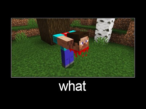 Minecraft wait what meme part 182 (scary headless Steve)