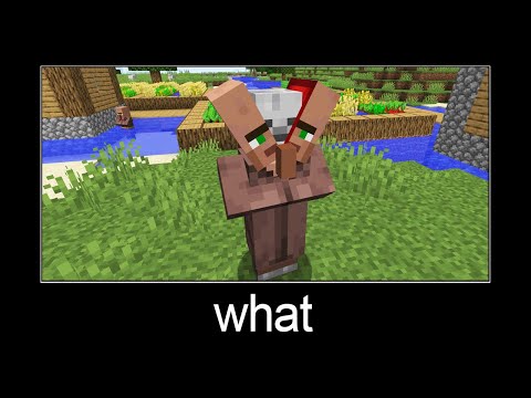 Minecraft wait what meme part 183 (scary villager)
